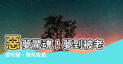 被老鼠咬解夢|梦到被老鼠咬了预示着什么 原版周公解梦原版免费